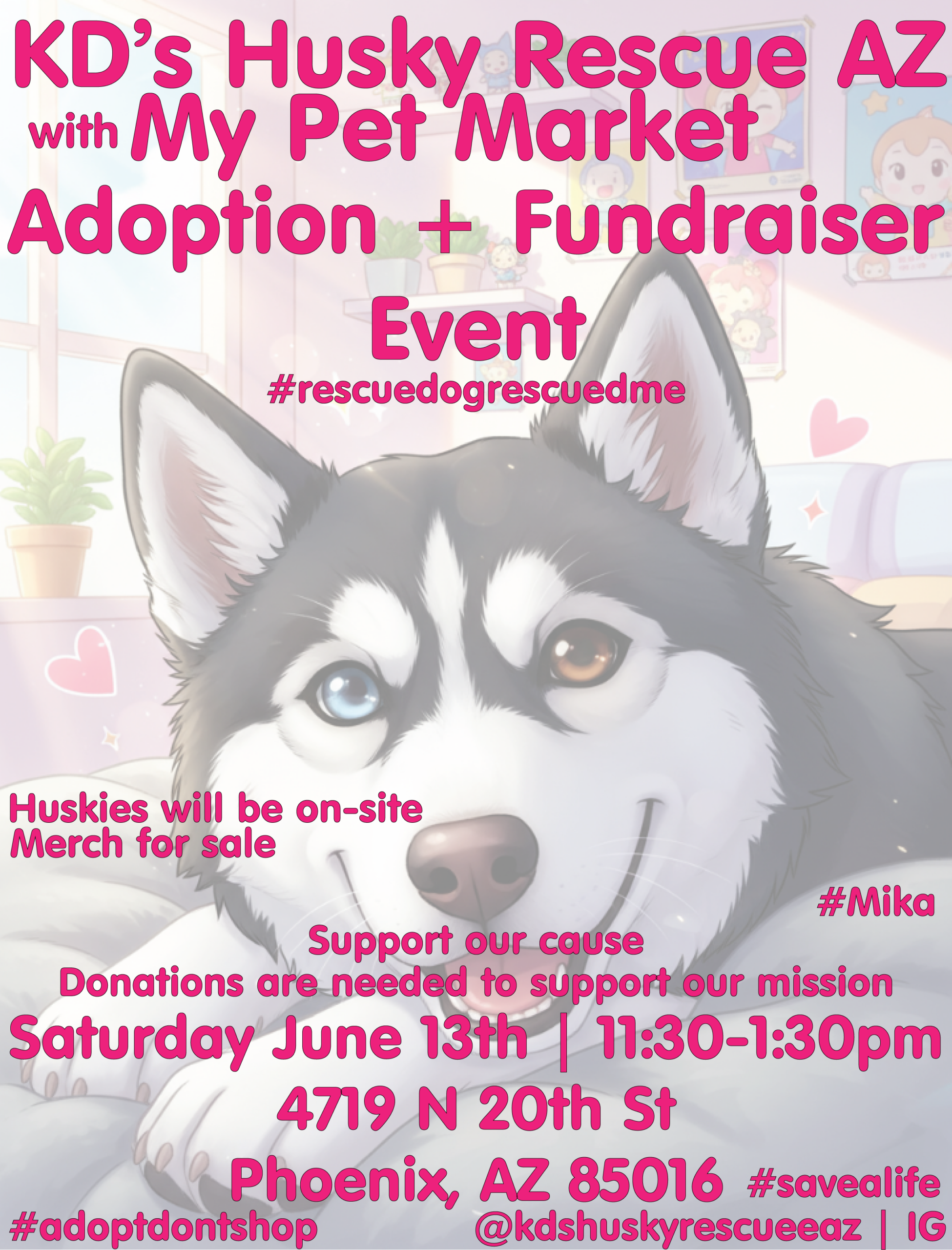 mypetmarket-june2026